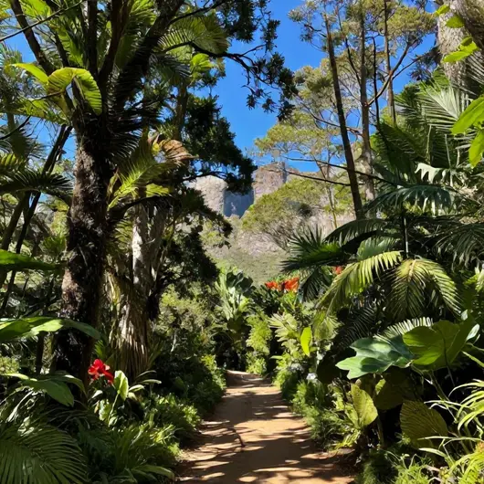 AllTrails Minas Gerais