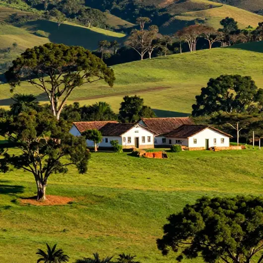 Conheça a Fazenda Eduardo e Mônica