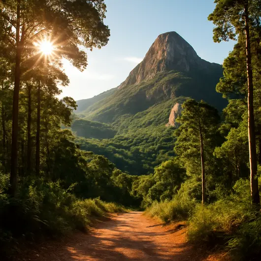 Descubra Itacolomi: Natureza e Aventura Descubra Itacolomi: Natureza e Aventura