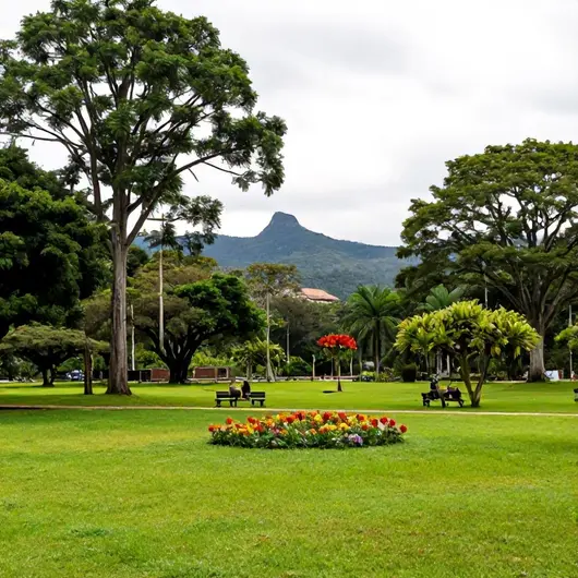 Descubra o Moreti Park