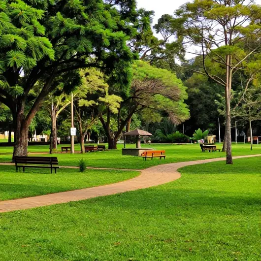Descubra o Parque Oschin Descubra o Parque Oschin