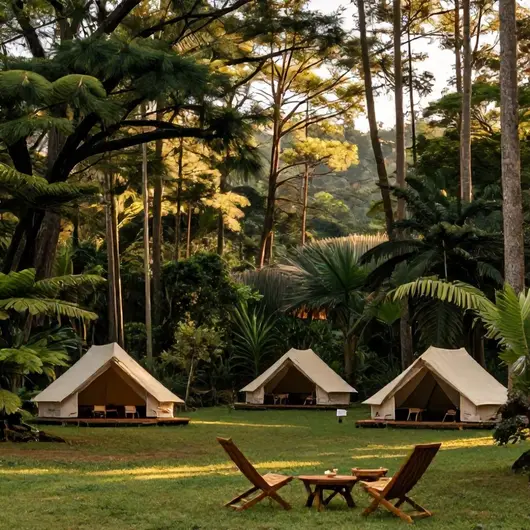 Descubra o Santa Barbara Glamping