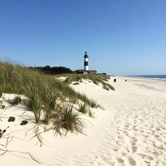 Explorando Montauk California Explorando Montauk California