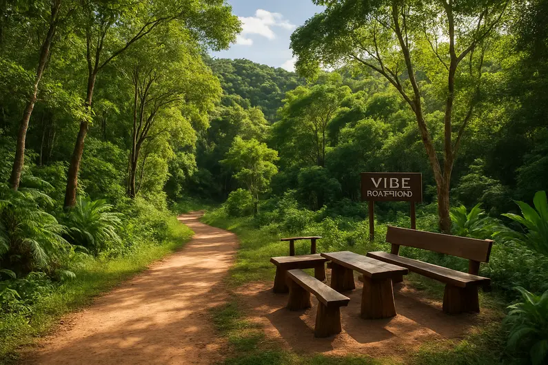 Explore a Natureza no Vibe Ecoturismo Explore a Natureza no Vibe Ecoturismo