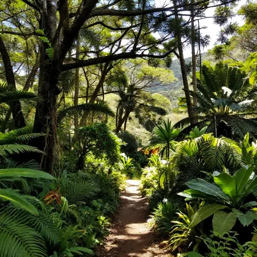 Explore a Toca da Coruja: Um Refúgio Natural em Minas Gerais