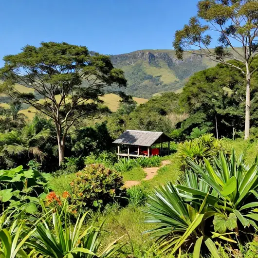 Juiz de Fora Ecoturismo: Aventuras em Contato com a Natureza Juiz de Fora Ecoturismo: Aventuras em Contato com a Natureza