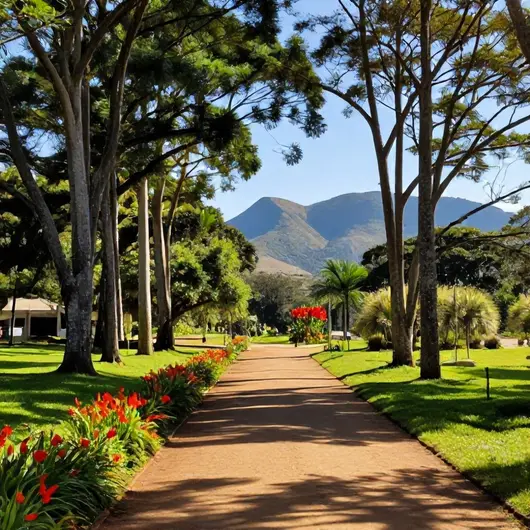 Trilhas nos Parques Municipais