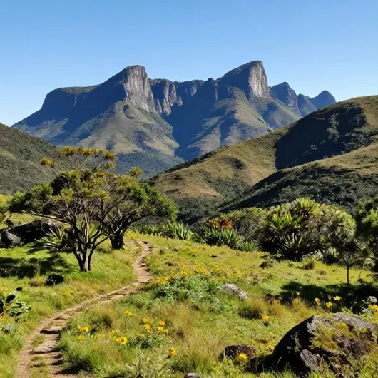 Vem pro Cipó: O Destino Perfeito para os Aventureiros Vem pro Cipó: O Destino Perfeito para os Aventureiros
